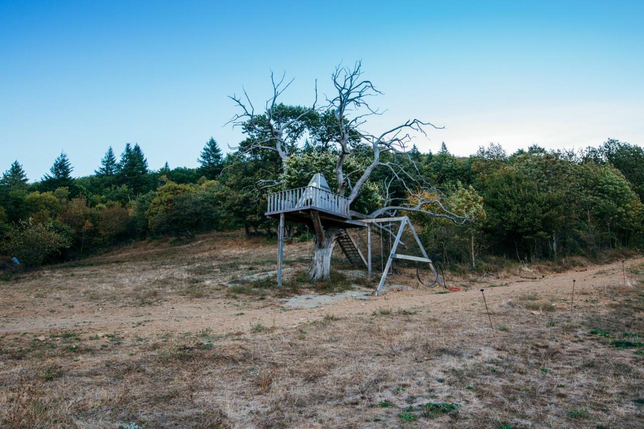 Domaine De Merlac Rieussec Εξωτερικό φωτογραφία