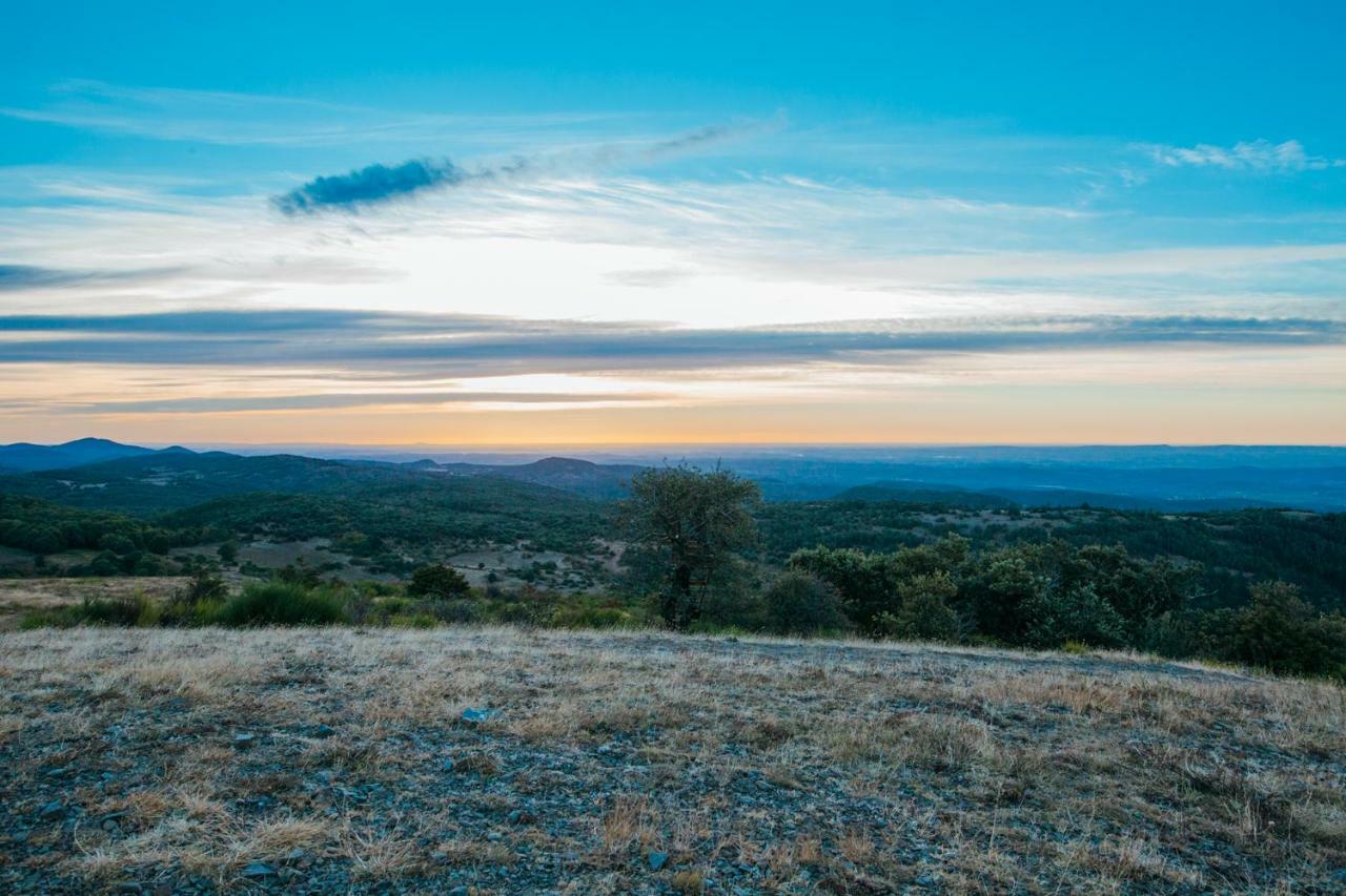 Domaine De Merlac Rieussec Εξωτερικό φωτογραφία